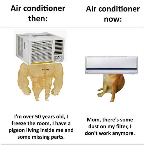 1000072900.jpg