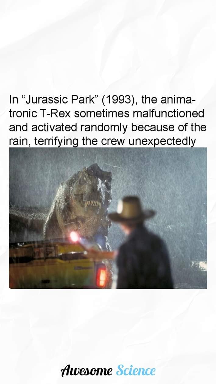 1000686532.jpg
