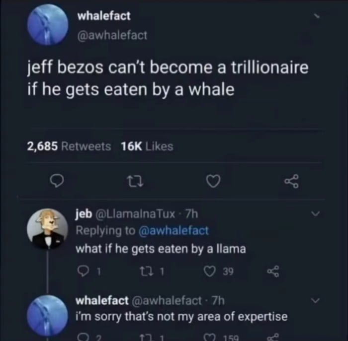 1000689063.jpg