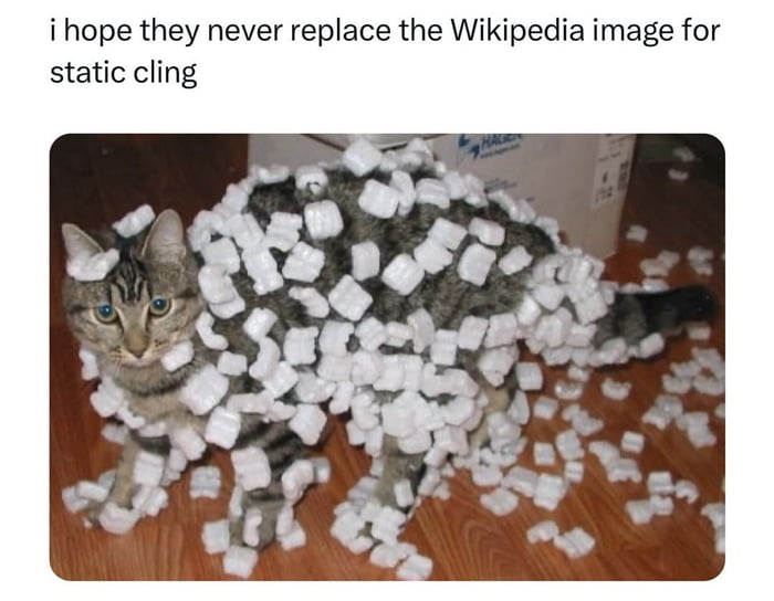 1000689727.jpg