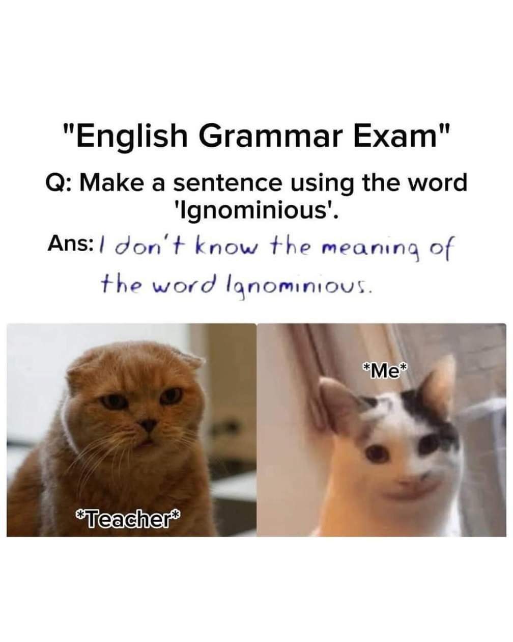 1000691442.jpg