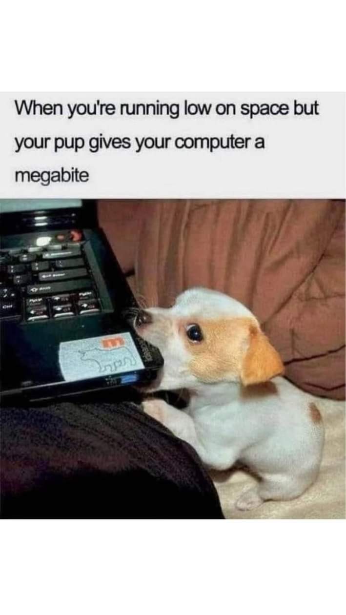1000701432.jpg