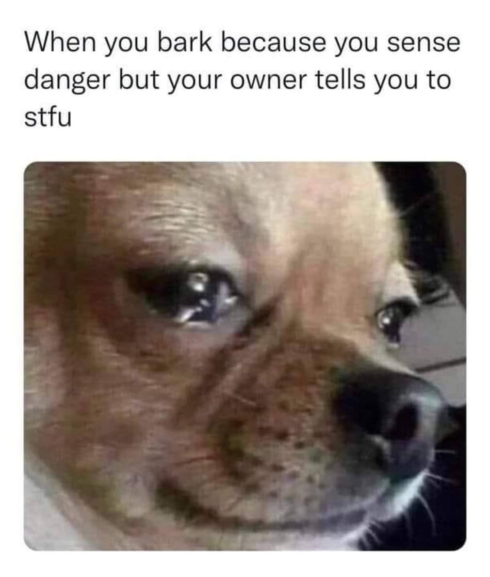 1000701433.jpg