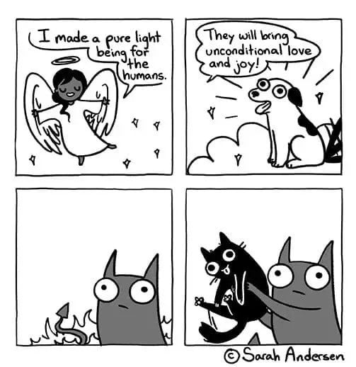 1000708763.jpg