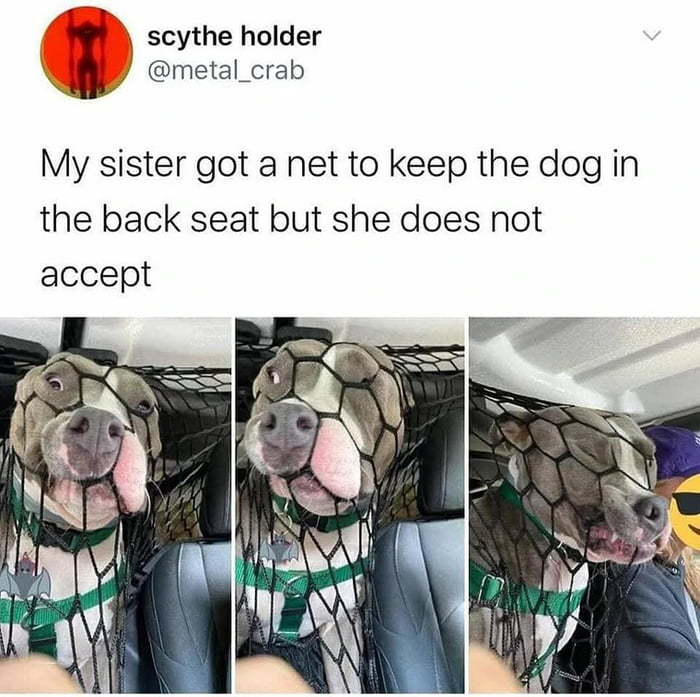 1000710458.jpg
