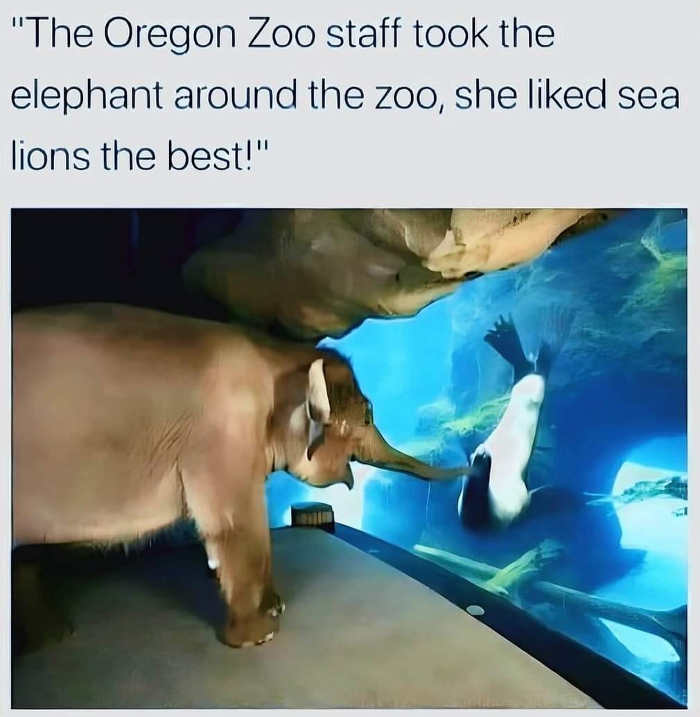 1000717902.jpg