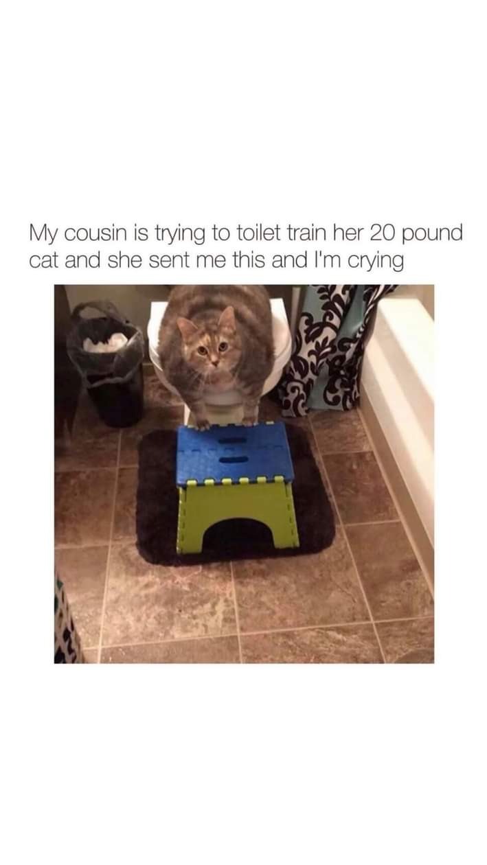 1000719923.jpg