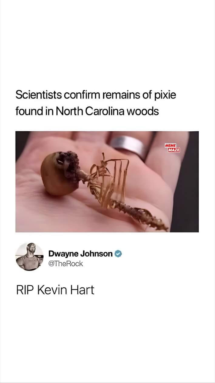 1000739023.jpg