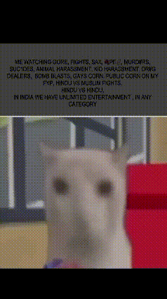 117896235_5555678991.gif