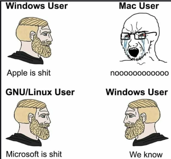 1747465373066.png