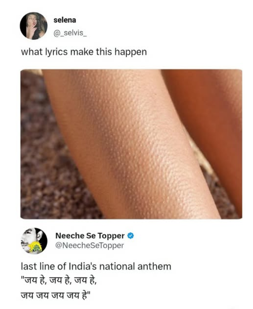 1749022246079.png