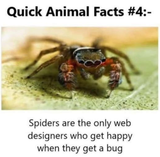 1749847946140.png