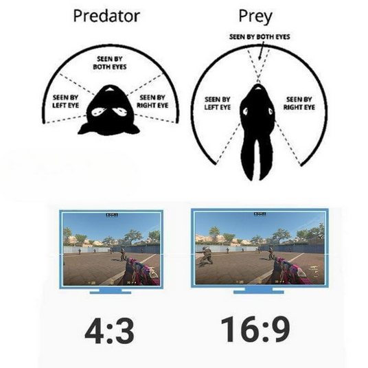 1750694473205.png