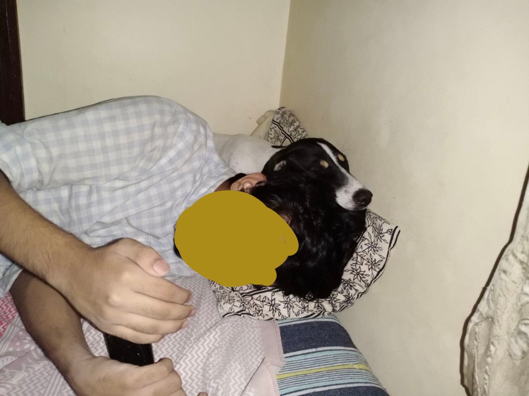 341690.jpg