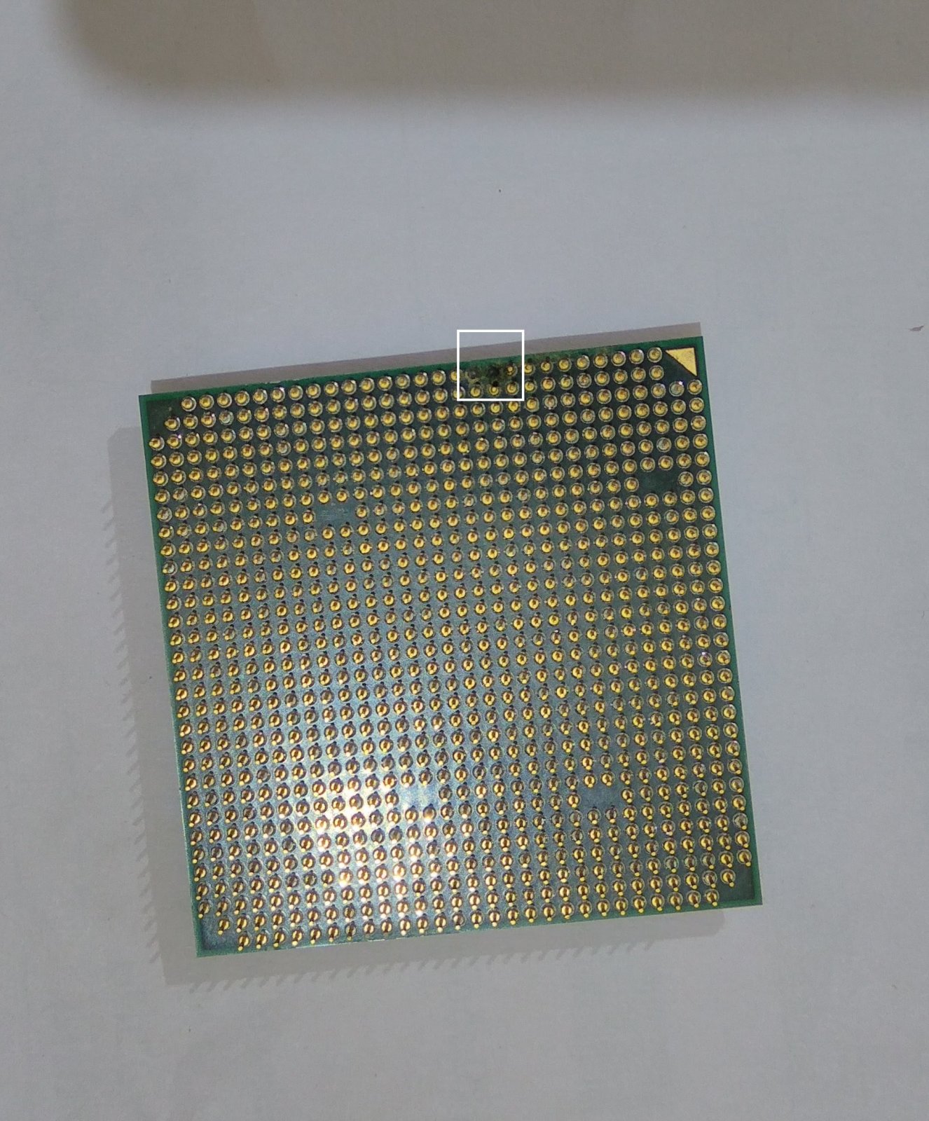 CPU_pins.jpg