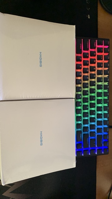 IMG_8672 Medium.jpeg