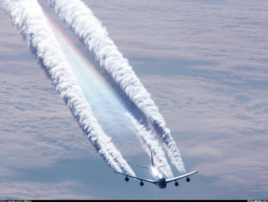 aerial.jpg