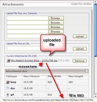 screen2.jpg