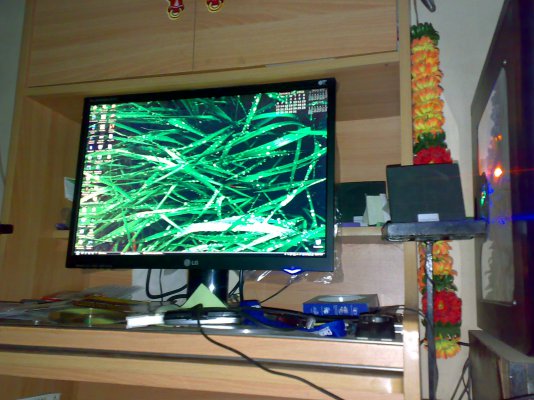 25012008102.jpg