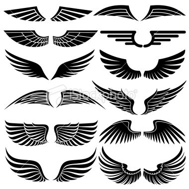 stock-illustration-8560742-wings-elements-for-design.jpg