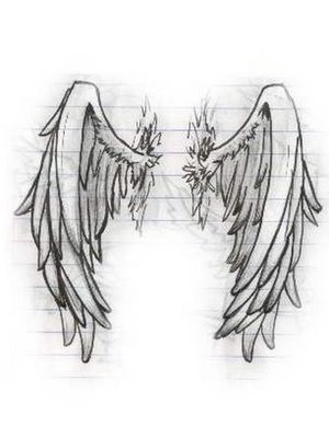 ImageUploadedByTapatalk1331419014.574419.jpg
