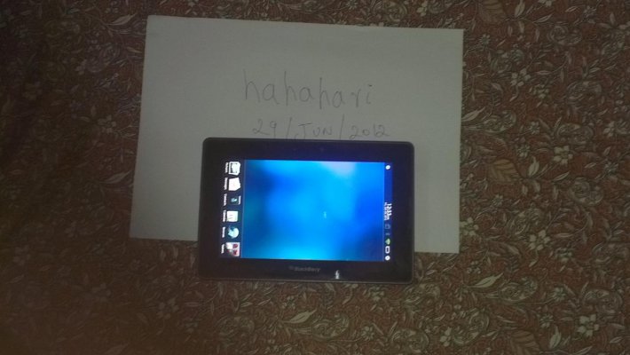 IMAG0082.jpg