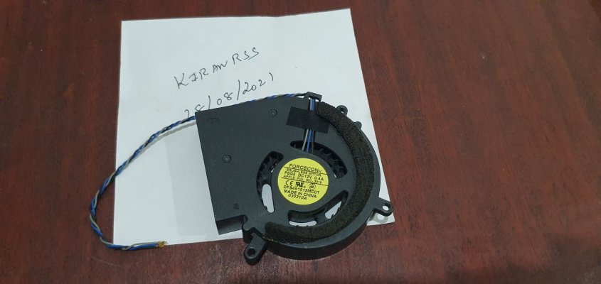 brushless motor 1.jpg