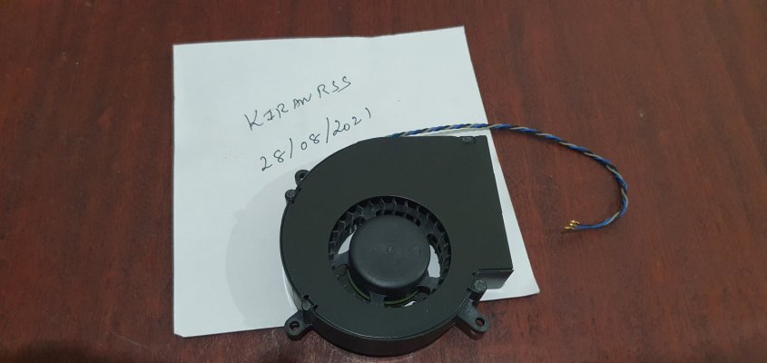 brushless motor 2.jpg