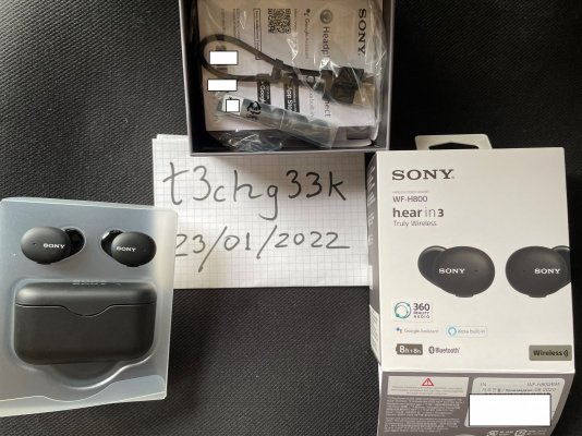 Sony H800 In.jpg