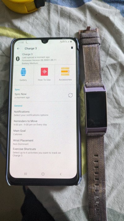 Fitbit 3.jpg