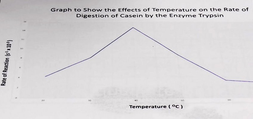 Effects of temperature on Trypsin.jpg