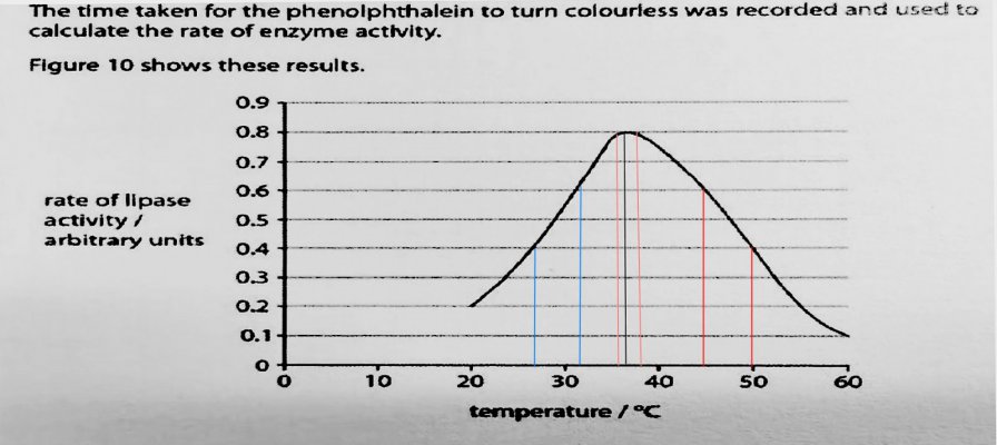 lipase enzyme activity-annotated.jpg