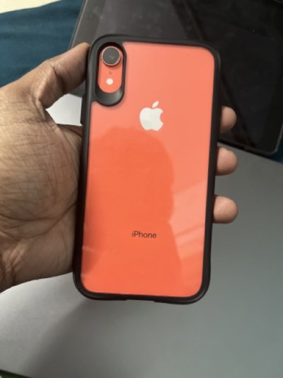 IMG_3482 Medium.jpeg