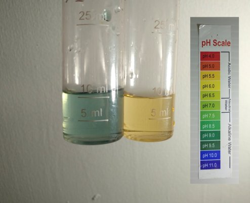IFB vs Vinegar PH test comparision_scale.jpg