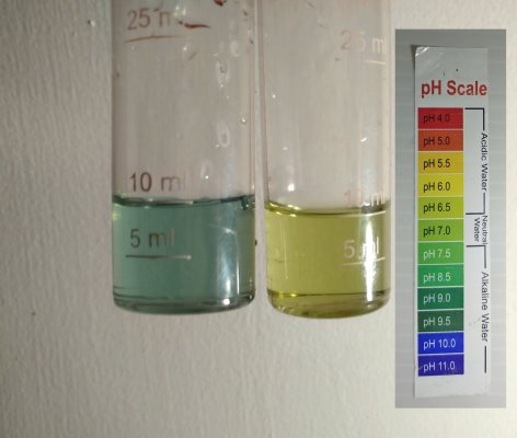 Tap water vs pH 7 Buffer solution_scale.jpg
