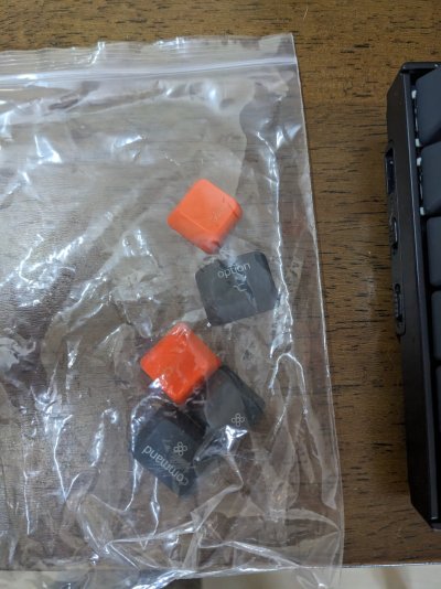 PXL_20231117_055923884.MP.jpg