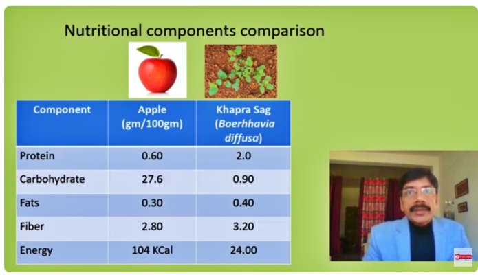 khapra_saag-vs-apple.jpg