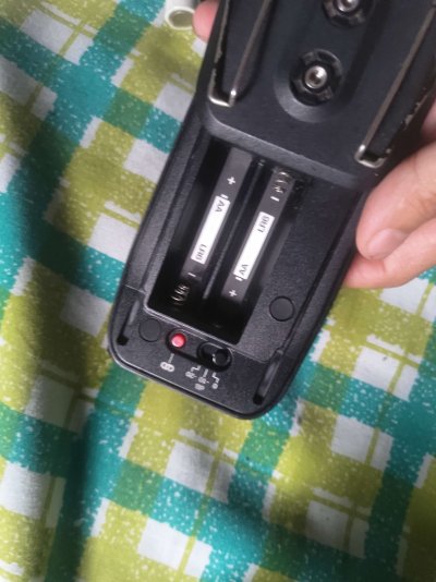 P_20240817_175459.jpg