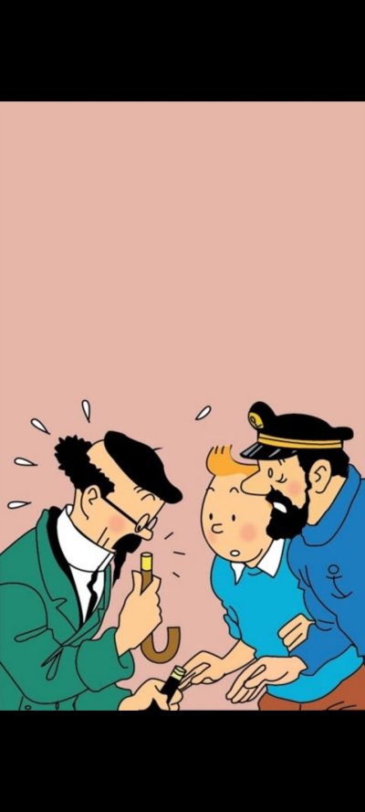 tintin calculus affair.jpg