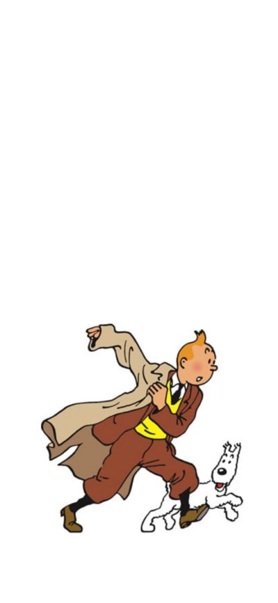 tintin ready.jpg