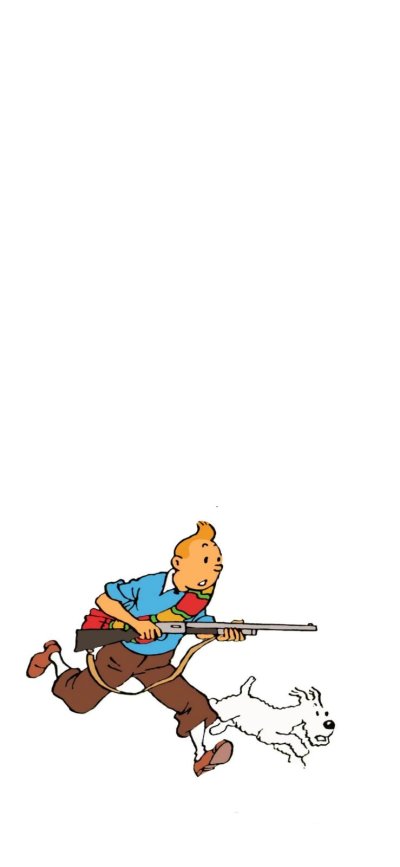 tintin rifle.jpg