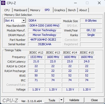 RAM1.jpg