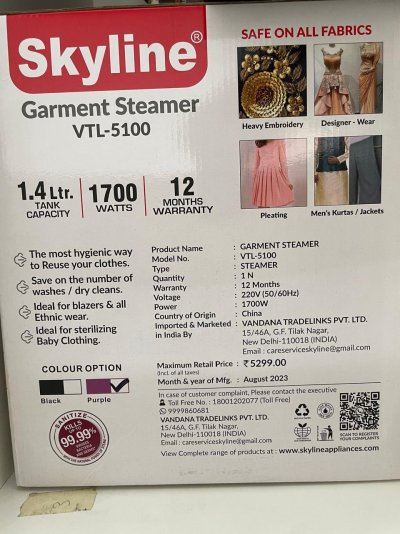 Garment steamer.jpg