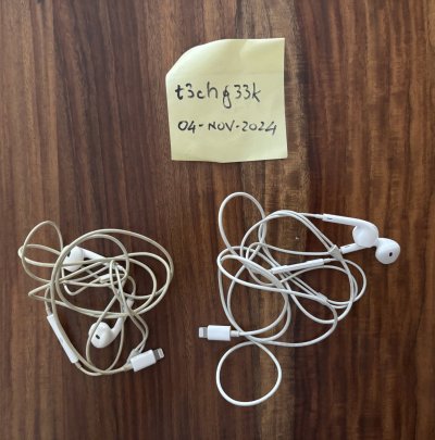 Lightning Earpods 2.jpg