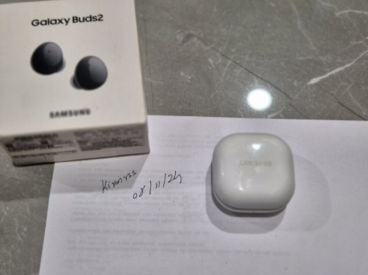 Galaxy Buds 2 1.jpg