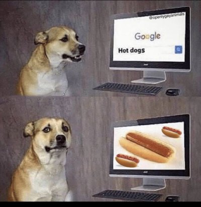 Hot dogs.jpg