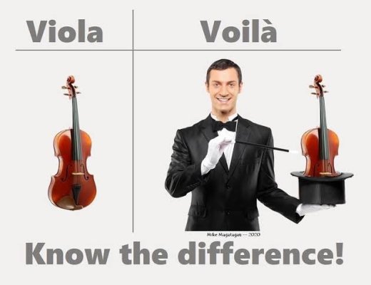 Viola vs voila.jpeg