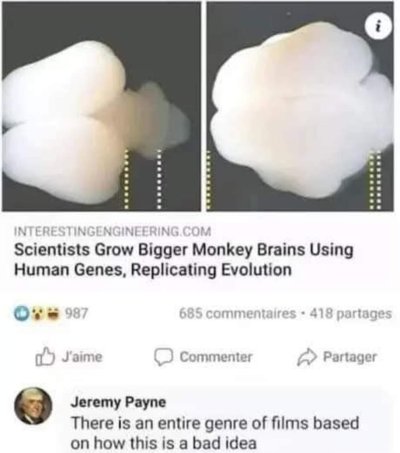 1000589548.jpg