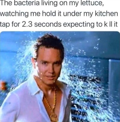 1000593245.jpg