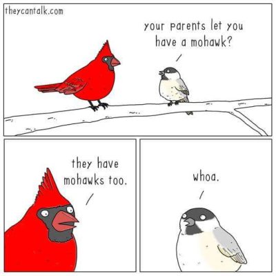 1000597592.jpg